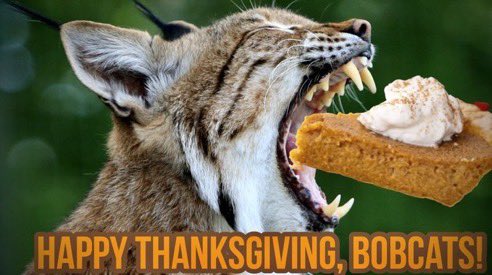 Happy Thanksgiving!!!! <a href="/CaveCreekUSD93/">Cave Creek USD</a>