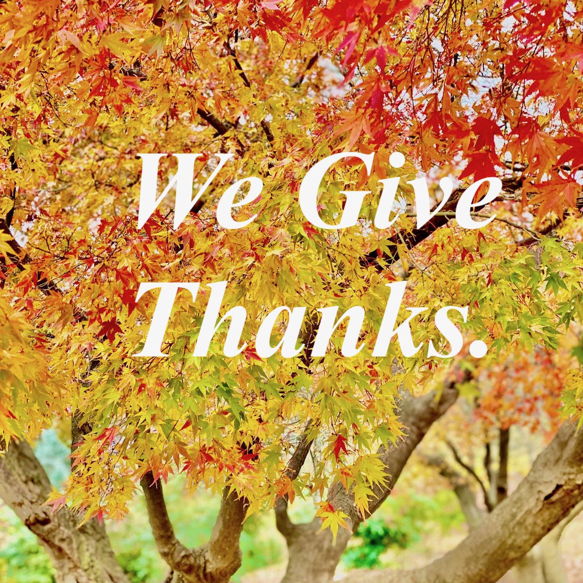 USU Health Professions Education (@usu_hpe) on Twitter photo We are so grateful for our community of #USU_HPE learners, alumni, faculty, and staff. #HappyThanksGiving2024 to all! <a href="/USUhealthsci/">Uniformed Services University</a> We are so grateful for our community of #USU_HPE learners, alumni, faculty, and staff. #HappyThanksGiving2024 to all! <a href="/USUhealthsci/">Uniformed Services University</a>