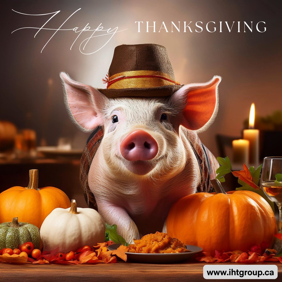 🍂 Happy Thanksgiving from IHT Group! 🍂

ihtgroup.ca

#Thanksgiving #IHTGroup #Pig #novembergreetings