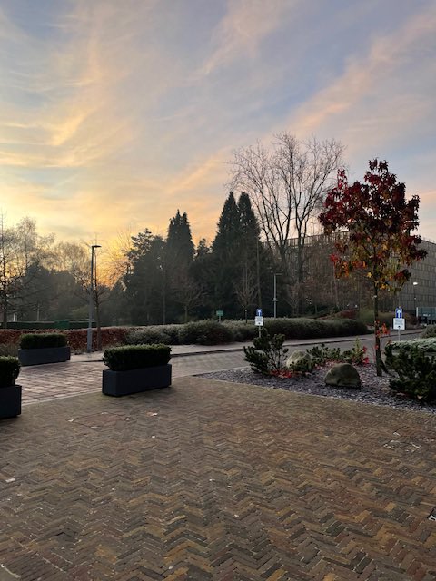 Clair Raybould (@traingate) on Twitter photo Enjoyed early morning walk and reflection session to kick off day 2 of our Leading Collaborative organisations . It was a beautiful, frosty morning but the sun was shining brightly , perfect for a thoughtful start to the day. Thank you <a href="/LCGgovuk/">Leadership College for Government</a> <a href="/NHSLincsICB/">NHS Lincolnshire ICB ๐</a> Enjoyed early morning walk and reflection session to kick off day 2 of our Leading Collaborative organisations . It was a beautiful, frosty morning but the sun was shining brightly , perfect for a thoughtful start to the day. Thank you <a href="/LCGgovuk/">Leadership College for Government</a> <a href="/NHSLincsICB/">NHS Lincolnshire ICB ๐</a>