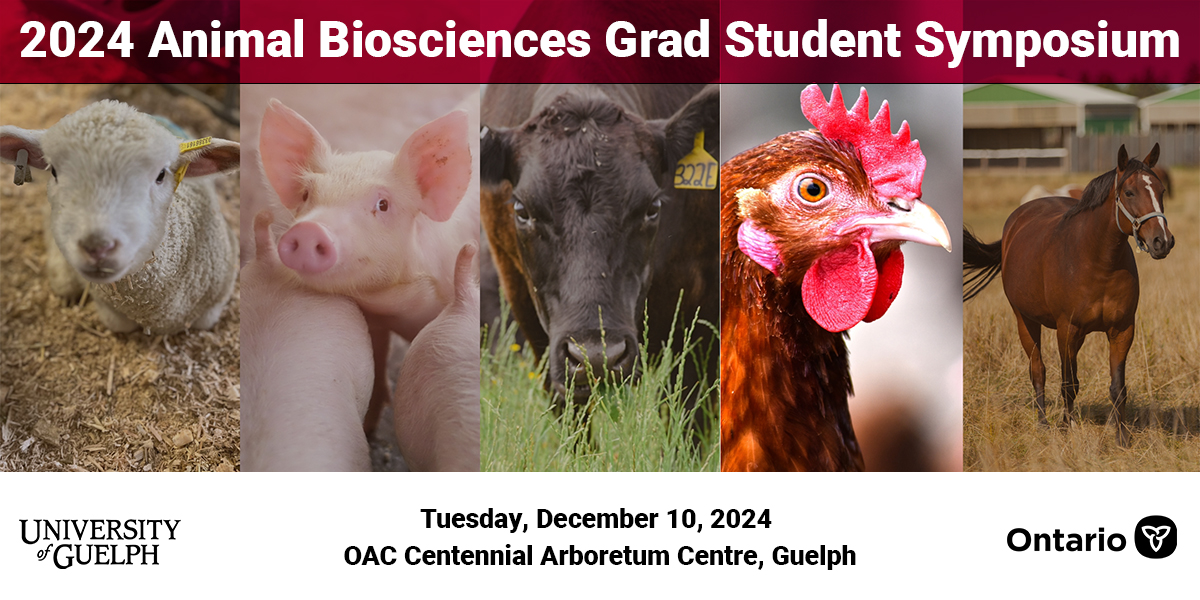 Ontario Agri-Food Innovation Alliance (@aginnovationon) on Twitter photo Join <a href="/ABSc_UofG/">Animal Biosciences</a> grad students December 10 as they discuss the latest research in Animal Biosciences at #UofG! Listen online or join in person to network. Click to register: uoguel.ph/spx8w Join <a href="/ABSc_UofG/">Animal Biosciences</a> grad students December 10 as they discuss the latest research in Animal Biosciences at #UofG! Listen online or join in person to network. Click to register: uoguel.ph/spx8w