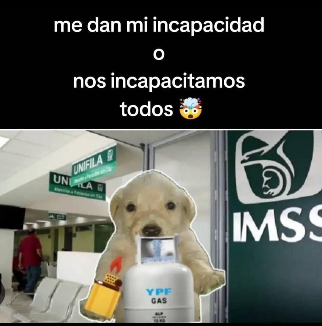 Todos los memes de este perrito, con su tanque de gas, me dan vida., image size:1080x1096