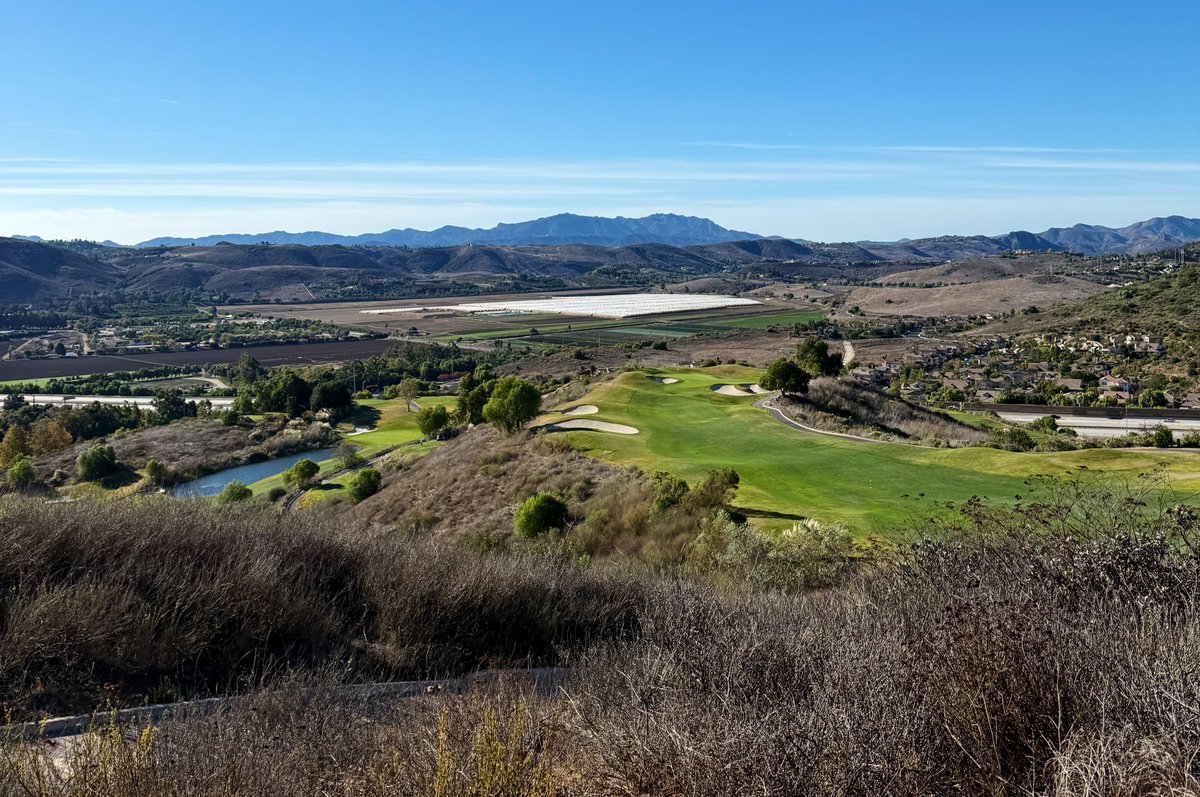 Happy Thanksgiving! 🦃⛳️