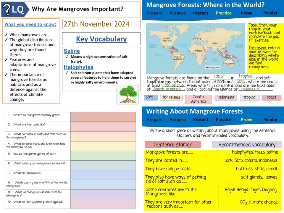 markthegeographer 🌍 tweet media