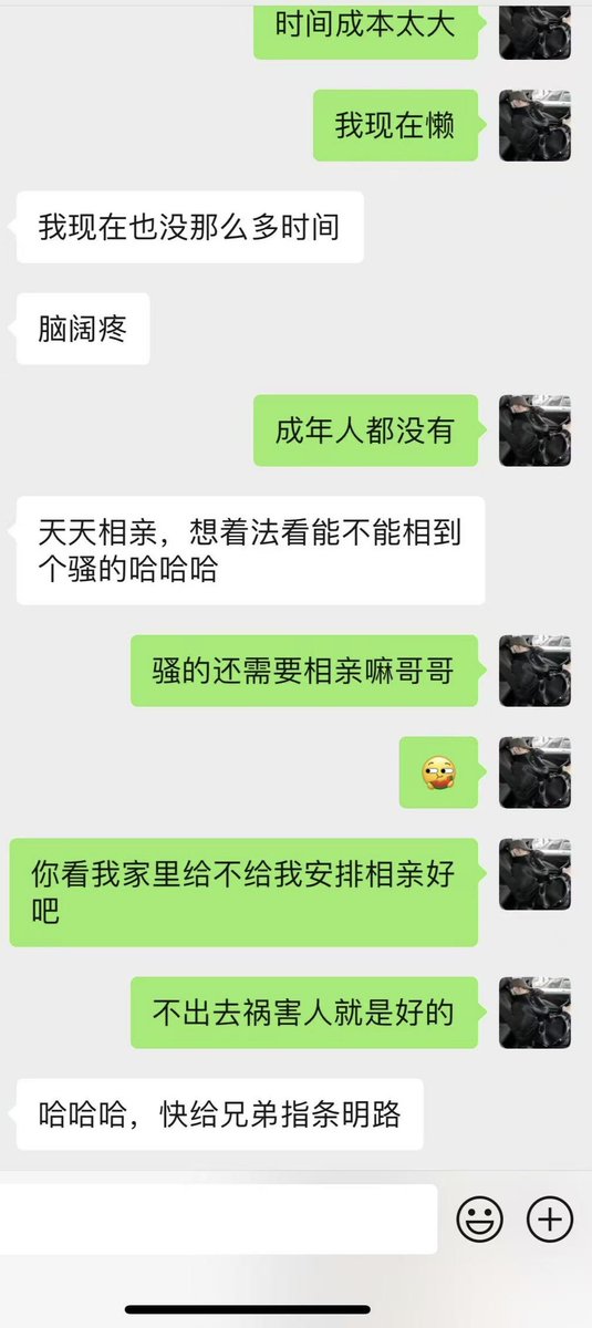 027Anne的熊 tweet media