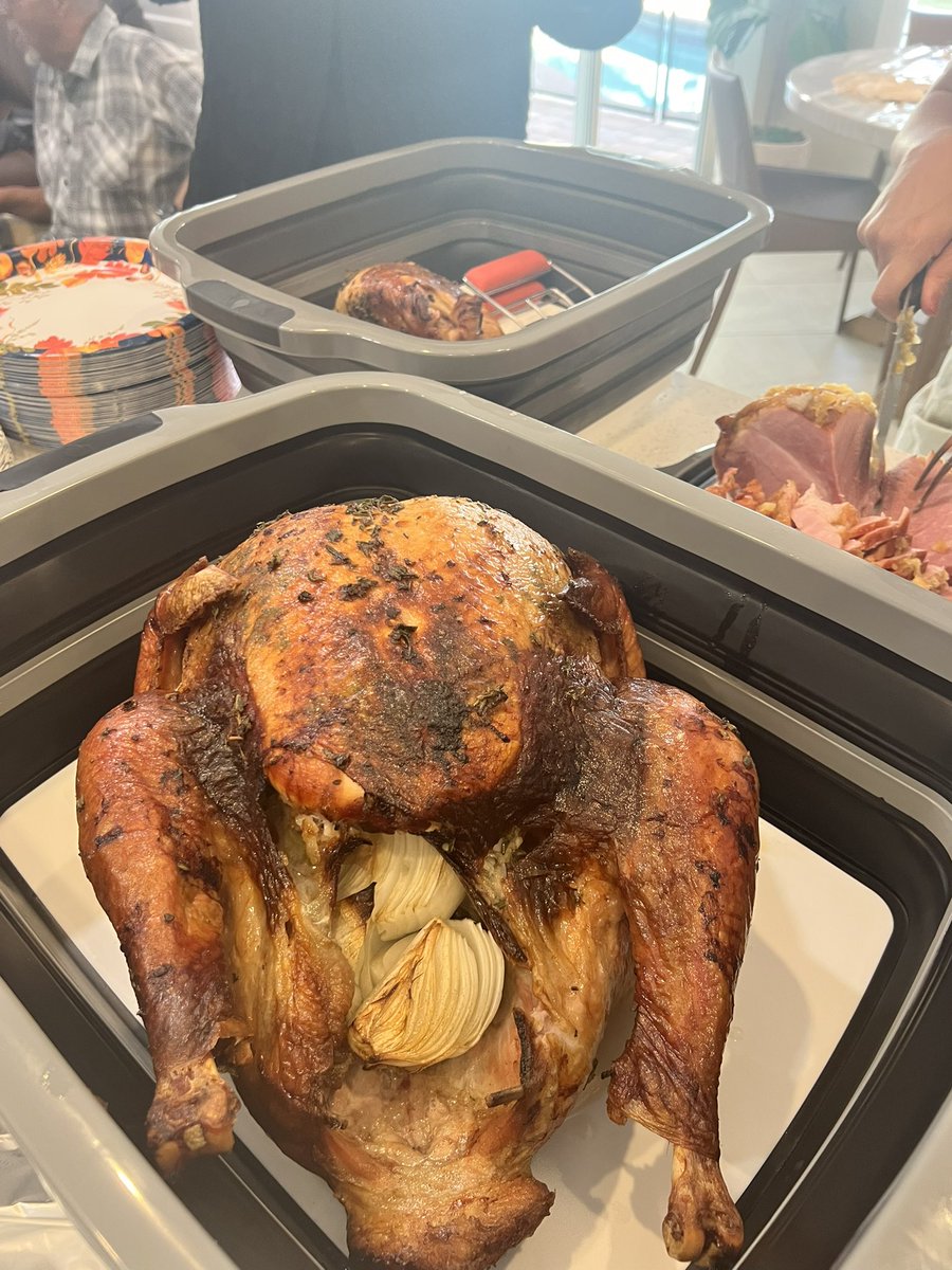 Another successful Bird 🦃