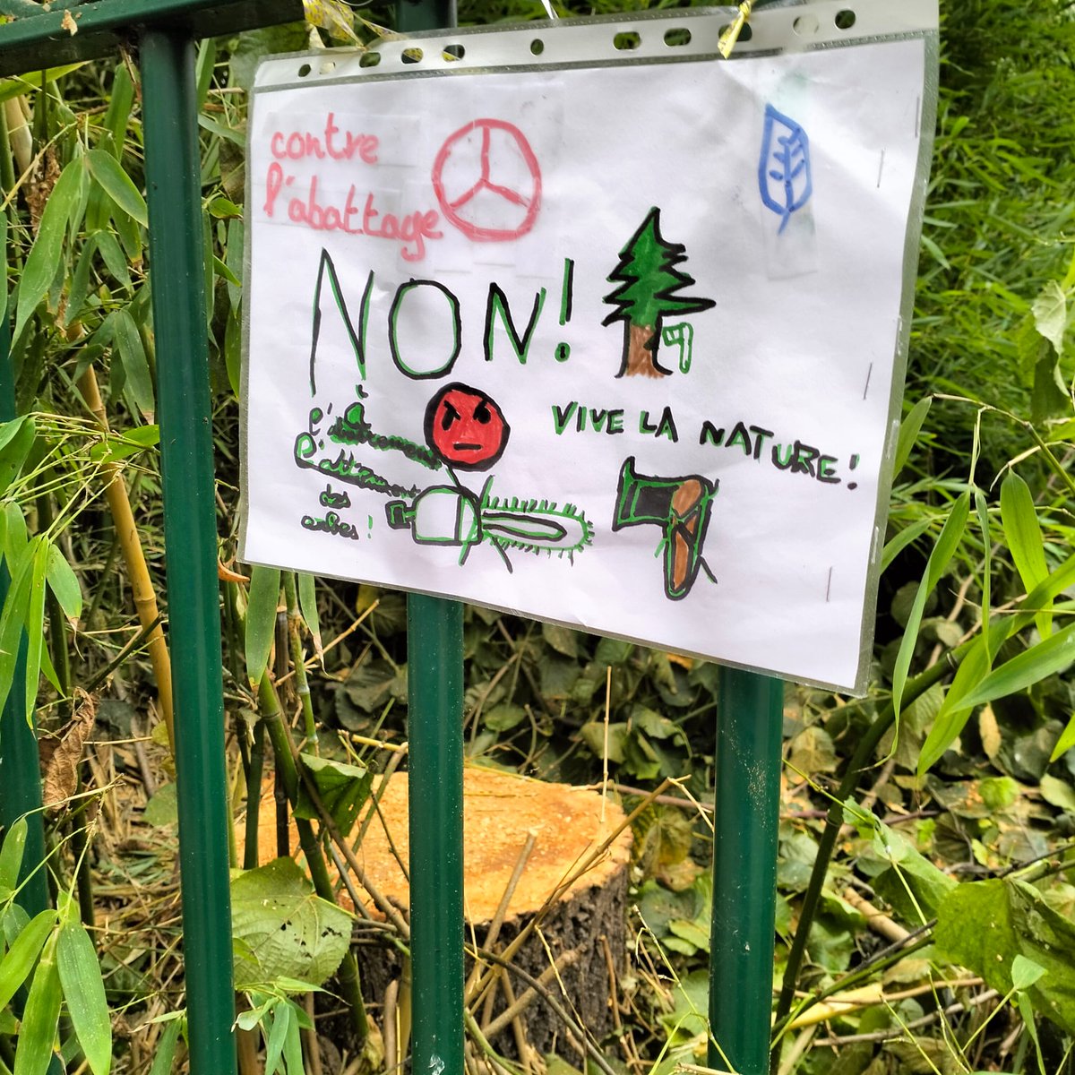 CAPAJmontrouge's tweet photo. Au lieu de faire de la com' et encore de la com', cessez de détruire les espaces verts et de biodiversité existants les uns après les autres pour les refaire et s'en glorifier abusément par la suite serait un bon début. 
#montrouge #surdensification #ilotdechaleur https://t.co/RgTtrLpTnI