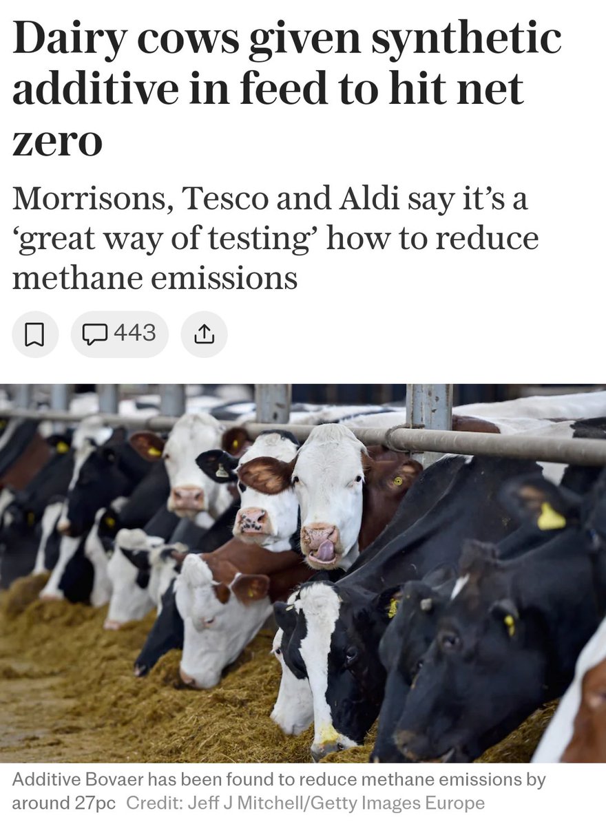 Marco Davi tweet media