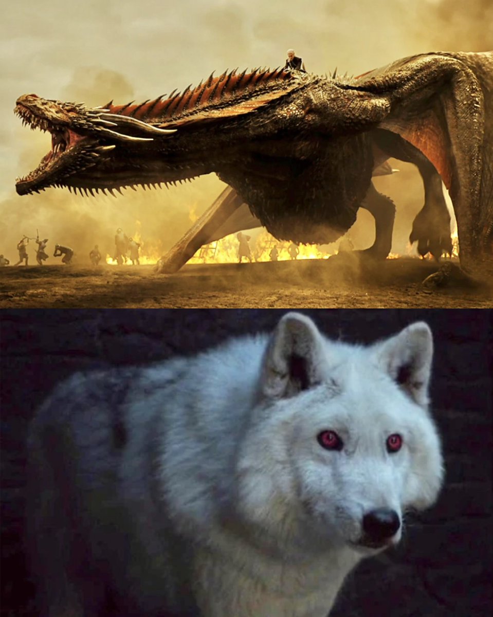 King Targaryen 🐉 tweet media