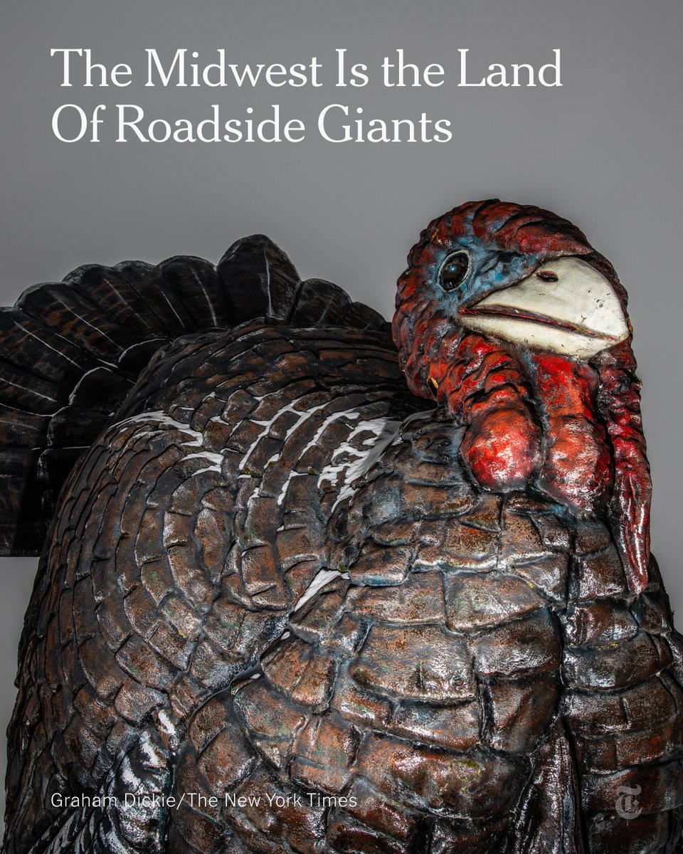 nytimes's tweet photo. The most celebrated resident of Frazee, Minnesota, is 22 feet tall and is known to his friends simply as Big Tom. Big Tom is a turkey — the world’s largest, locals will tell you. https://t.co/HkCkdQCclc https://t.co/M5eIoVkuWL