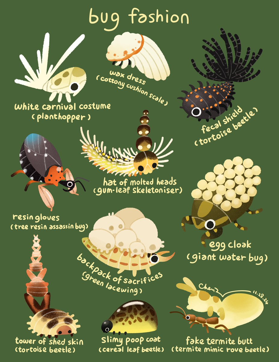 Bug fashion 💚 I’m initially inspired by the caterpillar that wear its own molted head, but there’re so many other interesting bug costumes!