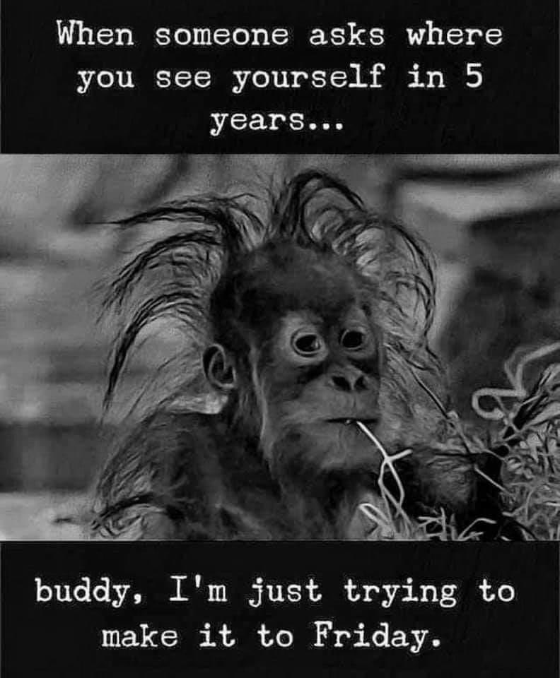 Kim Asher tweet media