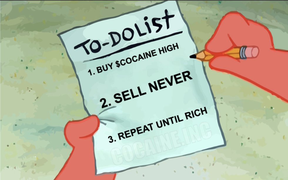 your plan for this bull run, boss