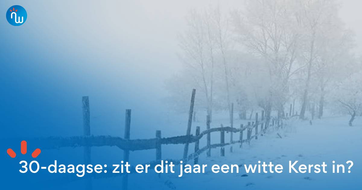 NoodweerBenelux's tweet image. Goedenavond! December loert om het hoekje en dus ook #Kerst. Dé hamvraag die we dan ook al vaak mochten horen is: "Krijgen we dit jaar een #witte #Kerst?".  ❄🎄
Wij doken voor jullie al een even in de #lange #termijn #weerkaarten om al een eerste blik te werpen op de