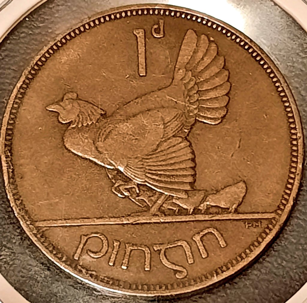 Happy Turkey Day, everybody! 🦃
🇮🇪 1935 Irish Penny 
#Thanksgiving    #Thanksgiving2024