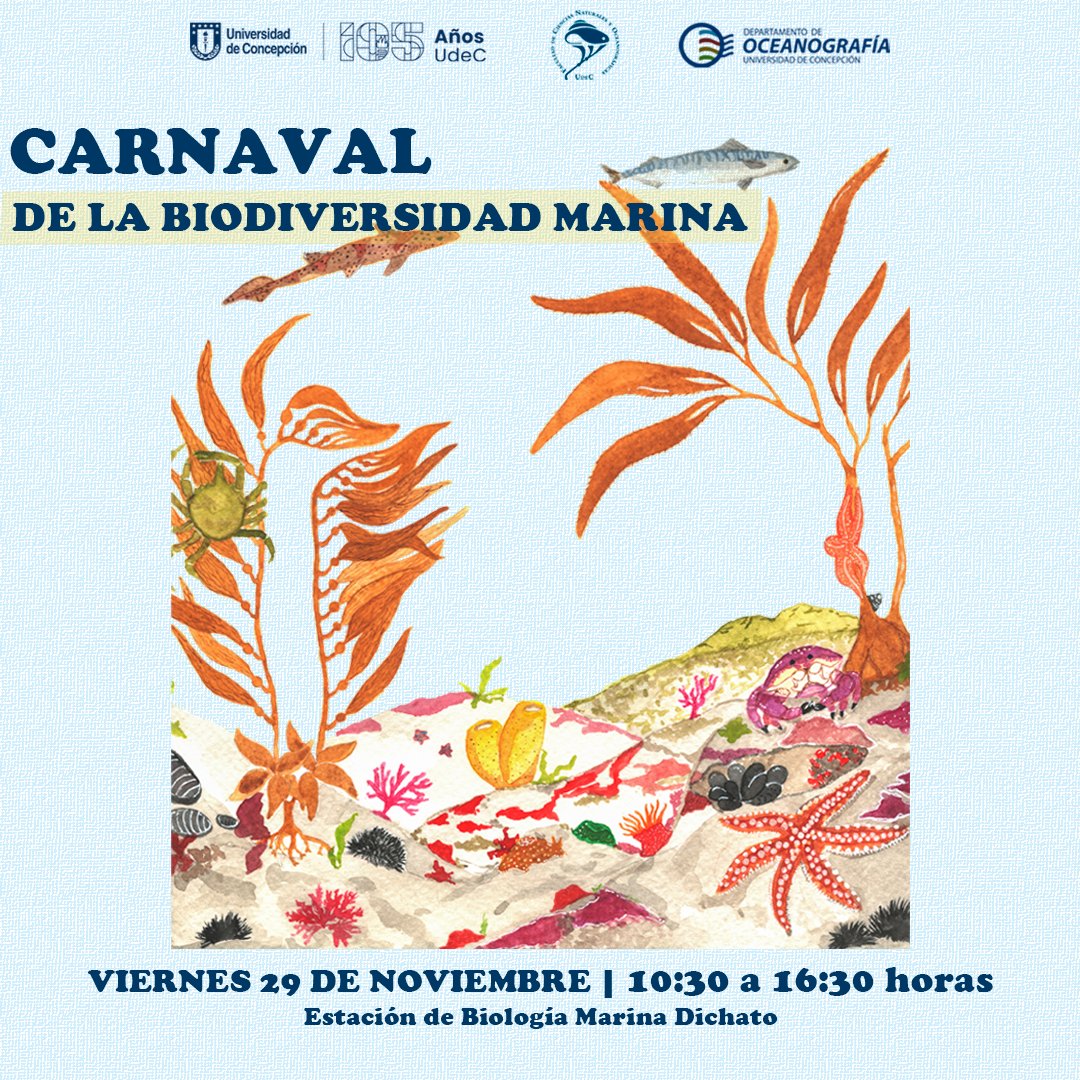 Departamento de Oceanografía UdeC (@doceudec) on Twitter photo V Carnaval de la Biodiversidad Marina 🐚🐙🪸🦭🐟🦑🦀🐡🐠🐋
¡Agéndalo! Actividad abierta a toda la comunidad 👩🏻👨🏻👦🏻👧🏻👶🏻👵🏻👴🏻🐱🐶
La Estación se encuentra en Villarrica 151 (Caleta Villarrica)
📍 goo.gl/maps/64U1eYzf7…
Ilustración: <a href="/_cascabel/">CASCABEL</a> 🖌️ V Carnaval de la Biodiversidad Marina 🐚🐙🪸🦭🐟🦑🦀🐡🐠🐋
¡Agéndalo! Actividad abierta a toda la comunidad 👩🏻👨🏻👦🏻👧🏻👶🏻👵🏻👴🏻🐱🐶
La Estación se encuentra en Villarrica 151 (Caleta Villarrica)
📍 goo.gl/maps/64U1eYzf7…
Ilustración: <a href="/_cascabel/">CASCABEL</a> 🖌️