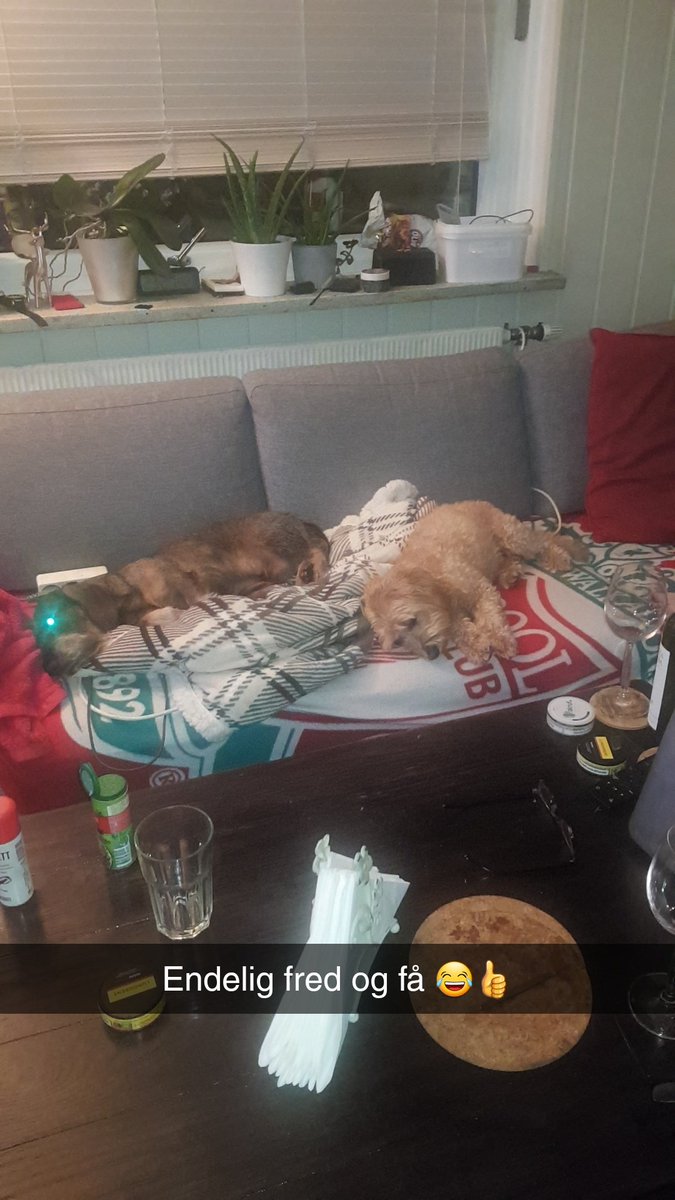 Espen (@pedersen_e93923) on Twitter photo 