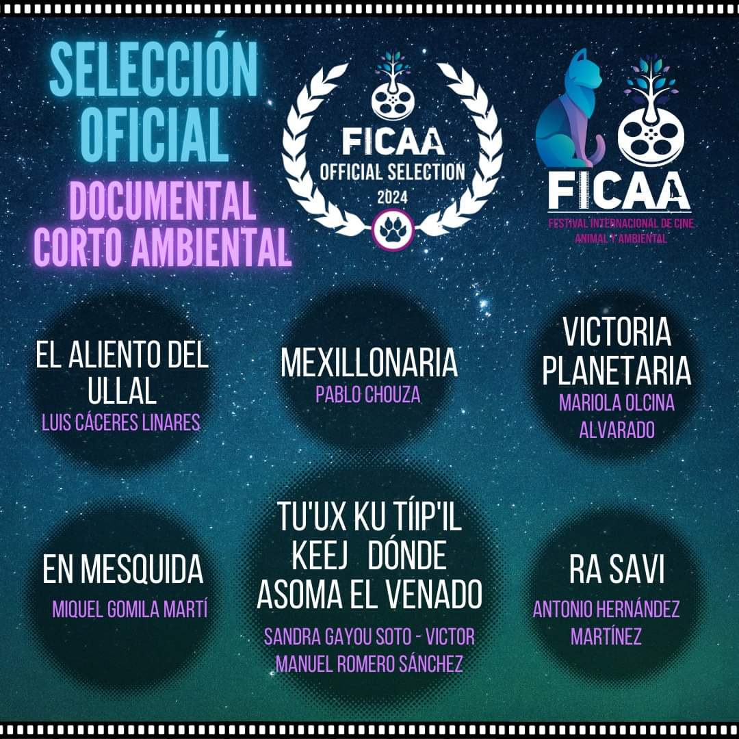 AsomaVenado's tweet photo. Tenemos noticias 🔉

Donde asoma el venado forma parte de la selección oficial del  FICAA - Festival Internacional de Cine Animal y Ambiental CDMX 😱🙌🏽🥳 https://t.co/UMZkD4ZCwx