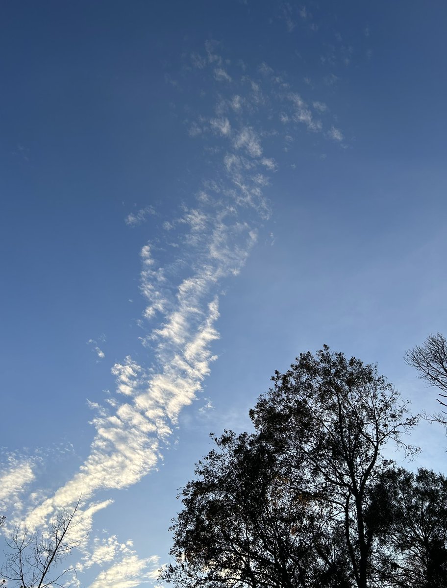 coffeegirl_77's tweet image. Beautiful sky ❤️💨 #coldfront is coming… yay!! #Thanksgiving2024 #ThanksgivingDay #CountYourBlessings