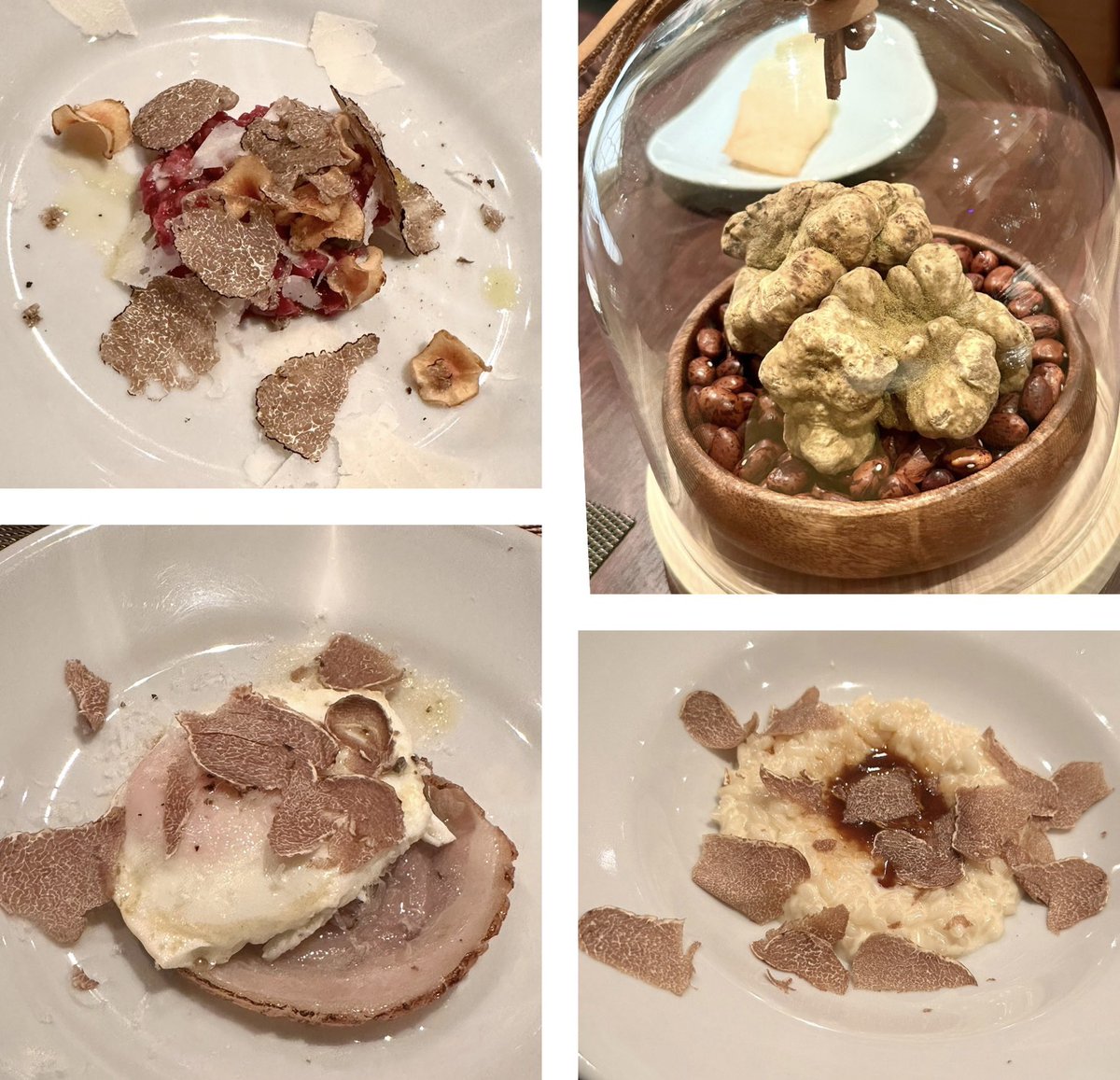 JAL_shugyo_2021's tweet photo. トリュフ祭り♪

#canade #カナデ #本郷三丁目 #イタリアン #鹿肉 #鹿 #truffe #トリュフ https://t.co/AsC2UVYkqU