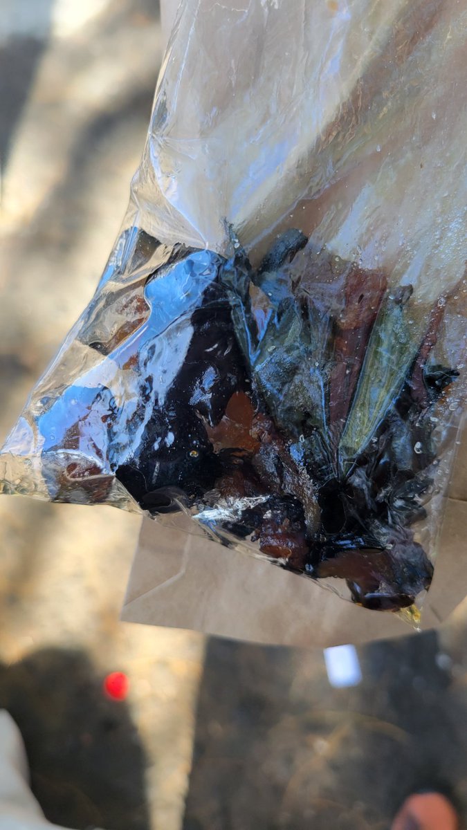 Here, have some blackfish crisps mate... 😬