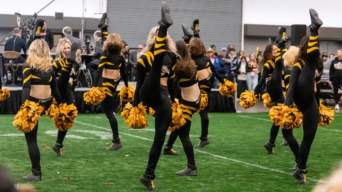 TicatsDC's tweet photo. Grey Cup Cheer Extravaganza 🌟

#tb to this annual #GreyCupFestival event that began in 1997 showcasing all #CFL Cheer teams 💛 We love performing alongside our Dance &amp; Cheer Family 🪩

#OskeeWeeWee https://t.co/zfMaGYRoZ1