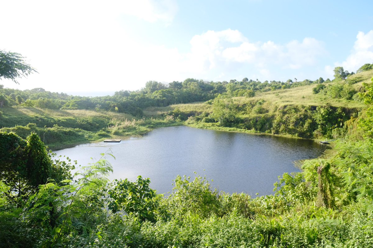 Kevin Petrini (@kevinpetrini) on Twitter photo A small water reservoir in Yap🇫🇲 assists communities during drought, thanks to the generous support of <a href="/JapanGov/">The Gov't of Japan</a> 🇯🇵
This collaboration shows the power of partnerships in building resilience 🙏
Even needed to take a #tomsawyer raft across the pond for inspection A small water reservoir in Yap🇫🇲 assists communities during drought, thanks to the generous support of <a href="/JapanGov/">The Gov't of Japan</a> 🇯🇵
This collaboration shows the power of partnerships in building resilience 🙏
Even needed to take a #tomsawyer raft across the pond for inspection