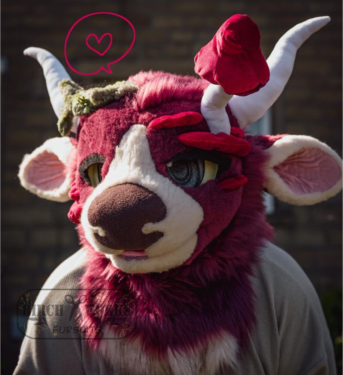 🍊🌿Jaffa🌿🍊 tweet media