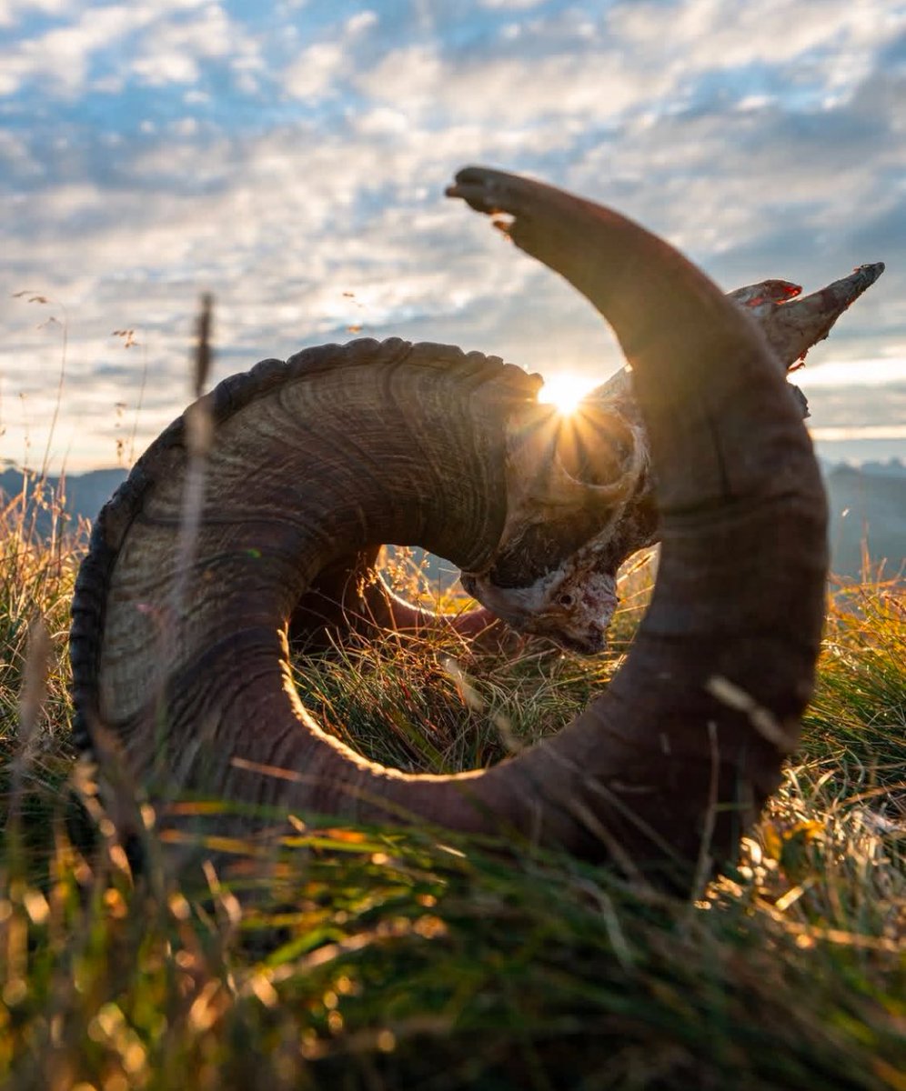 KUIU's tweet photo. Happy Thanksgiving, #KUIUNation https://t.co/PWIFn8w82t