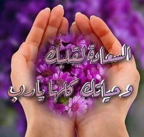 єηѕαη tweet media