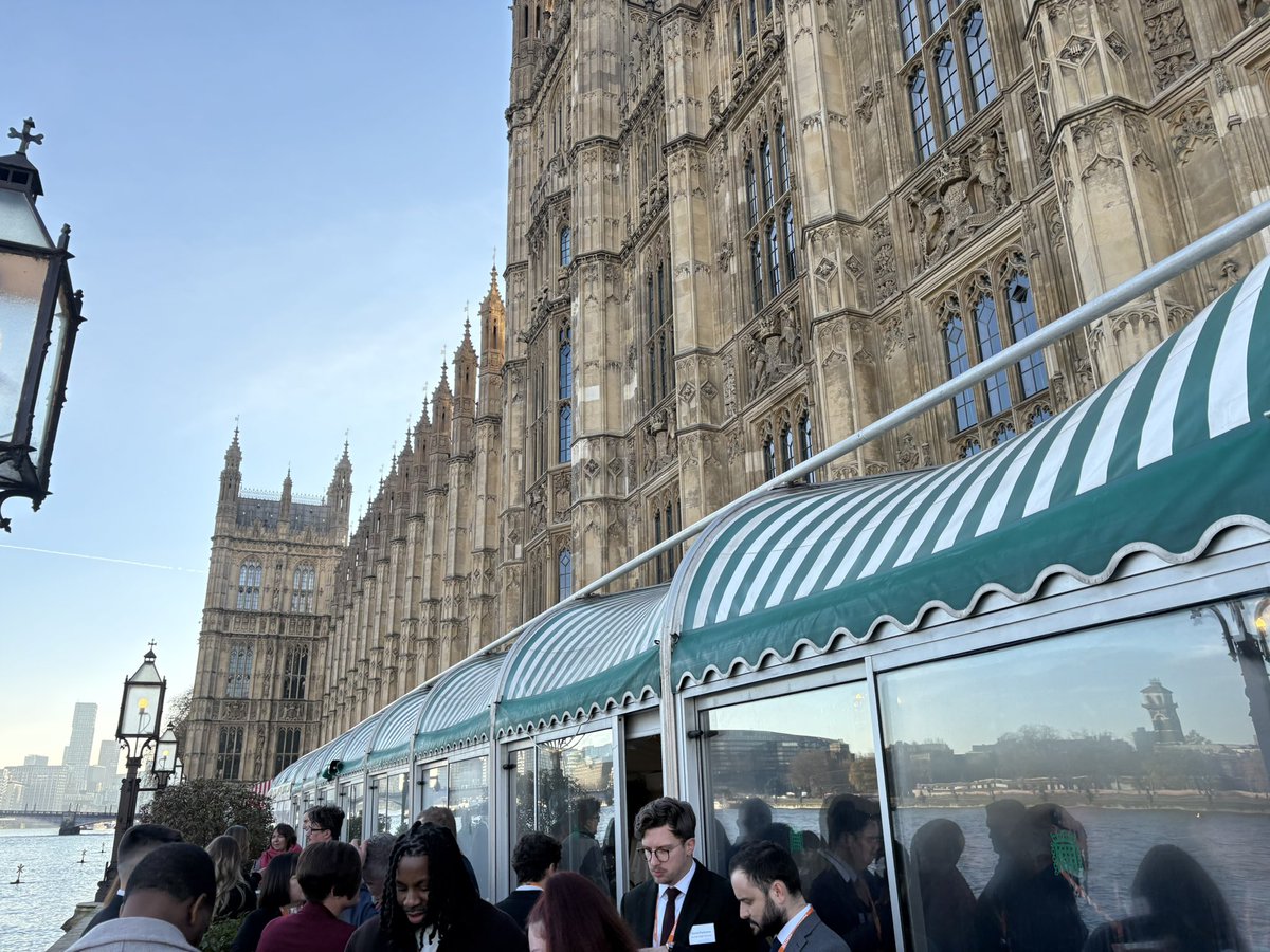 Amy cooper DL tweet media