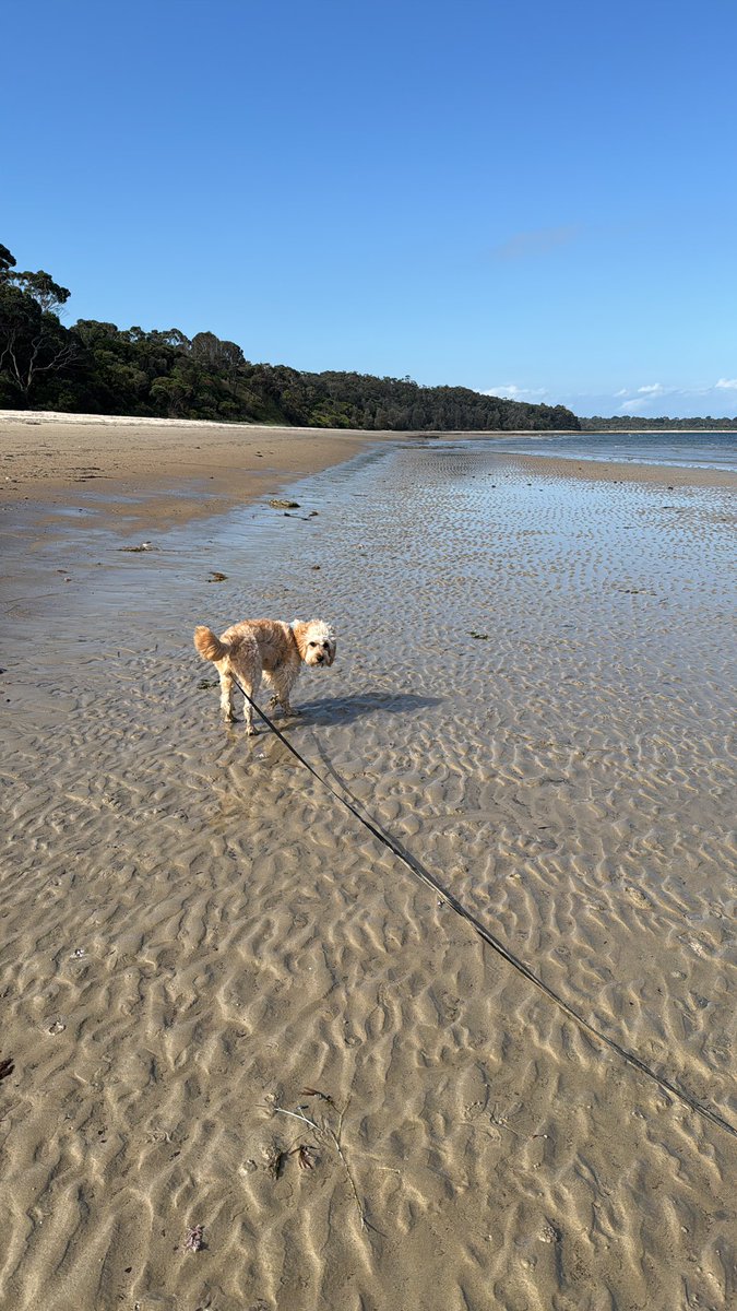 What are you waiting for? Let’s go!!!