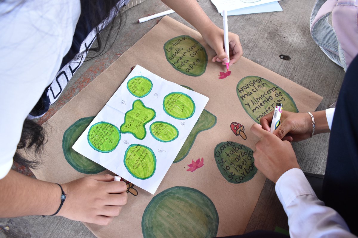 Fundacion Comunitaria Malinalco tweet media