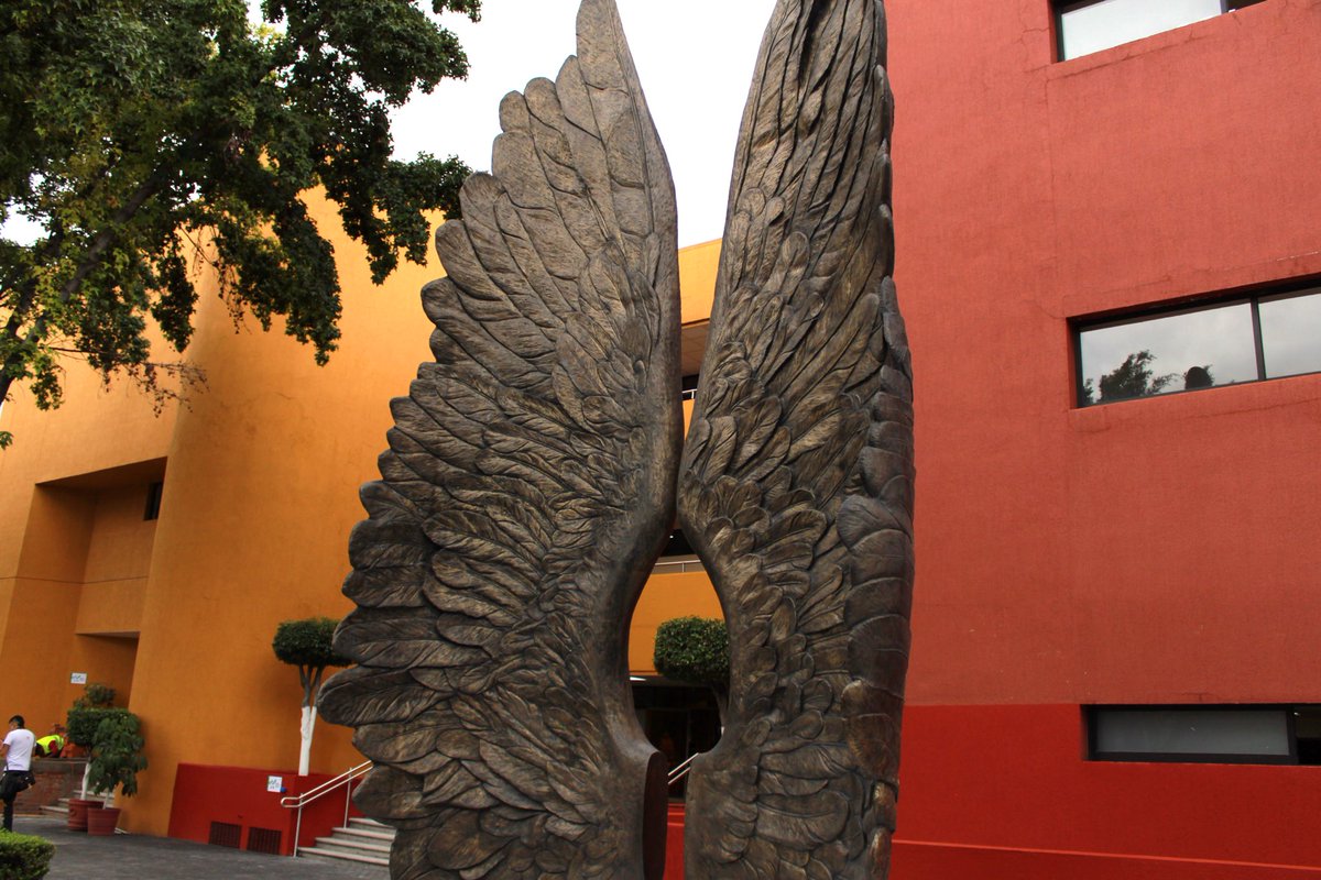 eld_oficial's tweet image. Hoy comienza “Alumno a Alumno”, un evento de integración en la #ELD donde futuros estudiantes conocerán de cerca la vida universitaria y compartirán preguntas con nuestra comunidad. 

¡Bienvenidos!