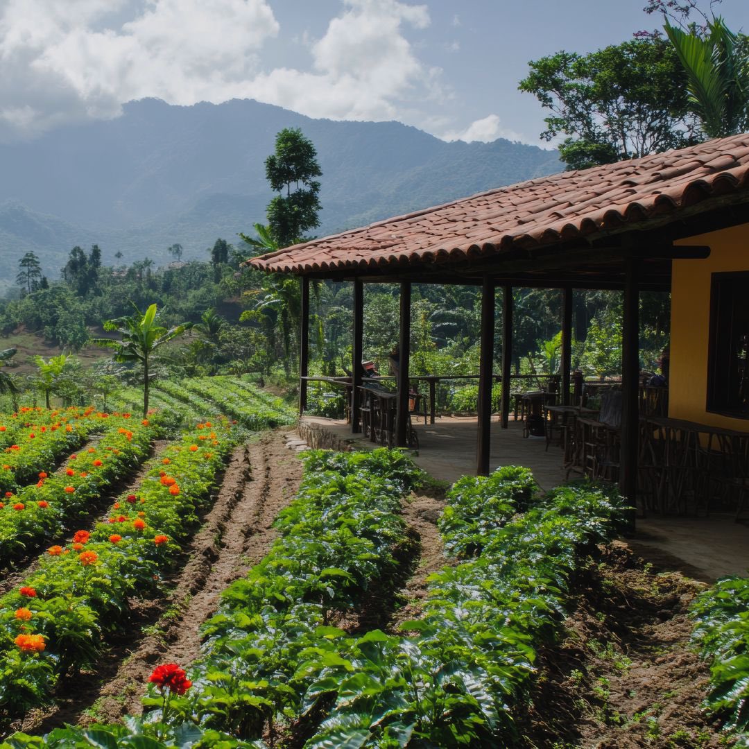 efigas_oficial's tweet photo. ¡Creemos en un futuro sostenible!
En Efigas tenemos un compromiso con el territorio, el medio ambiente y con las generaciones futuras 🌱 creemos que las pequeñas acciones marcan la diferencia 💙 te invitamos a construir juntos un mañana más verde #Efigas #AhíSiempre https://t.co/9UKsTEJt25