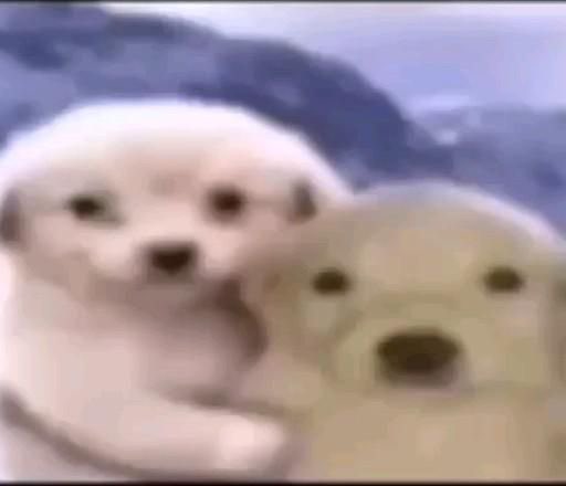 AU | #CaitVi  - #arcanetwt #arcane 

donde caitlyn es estudiante de artes en la uni y comparte salón con jinx y está enamorada de su hermana 

o 

donde vi siempre tiene que recoger a su hermana en la uni y siente que la acosan