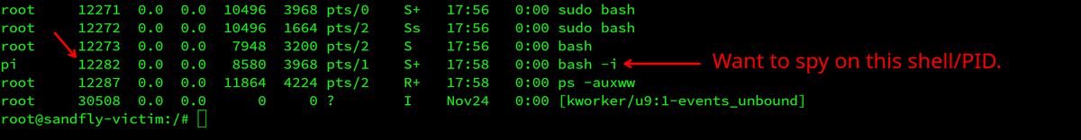 CraigHRowland's tweet photo. You can use the Linux peekfd command to spy on shells/processes. May be useful if investigating suspicious activity, but carries risk attacker may be alerted. 

peekfd -n -8 -d -c <PID> 0 1 2

Shell PID and 0,1,2 are file descriptors. This is what a reverse shell would show. https://t.co/IwZ2Rnpopk