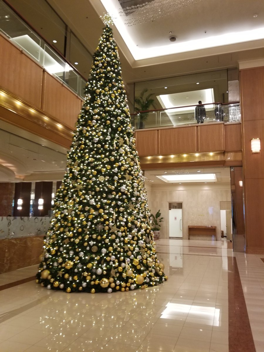 hello_anmitsu's tweet photo. この日、私は、日本橋のホテルのカフェで、原稿の最終確認を終えた。これで、ひとまず安堵。後日、担当者から、修正点の反映された完成原稿が届いた。もうこれ以上は直せない。私は、ほとんど読まず、完成原稿を書棚にしまった。もうすぐ、クリスマスだ(*'ω'*)
@hello_anmitsu
#ロイヤルパークホテル https://t.co/ozZ8mzlat0