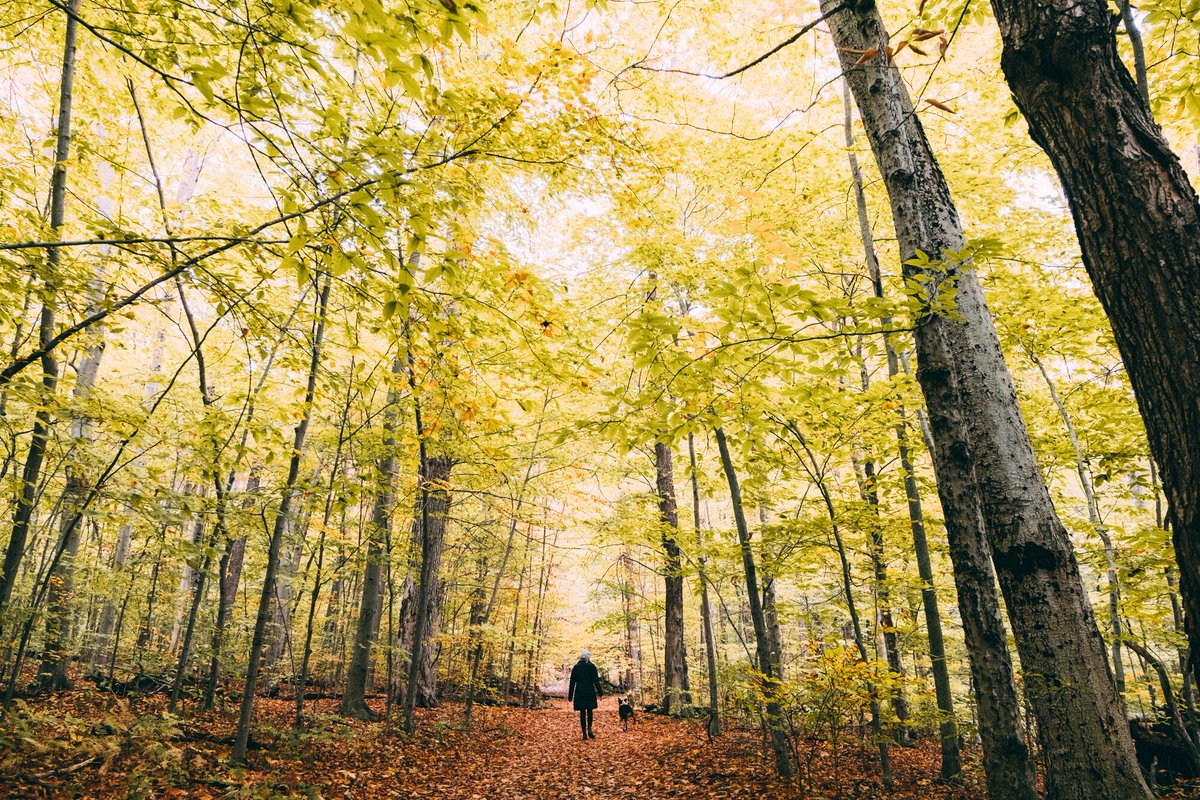 Thinking about making a move? Vermont’s welcoming and safe communities, breathtaking landscapes, and a slower pace of life creates lots of opportunities to be grateful for. There’s no better time to start fresh. 🦃 🍂 

#ThinkVermont #Vermont #ThanksgivingInVermont #MoveToVermont