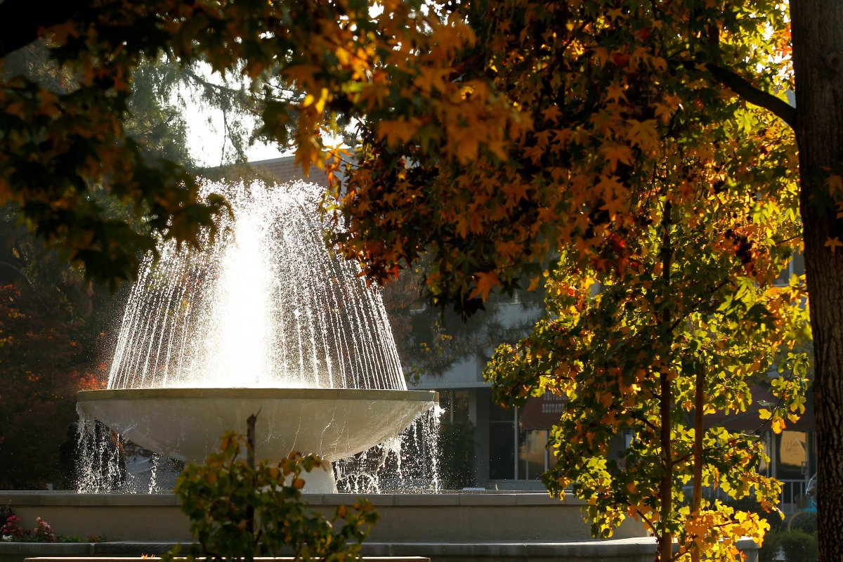 calstate's tweet photo. Wishing everyone a happy Thanksgiving, from our #CalState family to yours!
#Thanksgiving break is for:
🍁Spending time with your friends and families
🍁Enjoying good food and conversation
🍁Submitting your #CalStateApply application
https://t.co/HBpDfWCEW0 https://t.co/h4wX1MY6x5