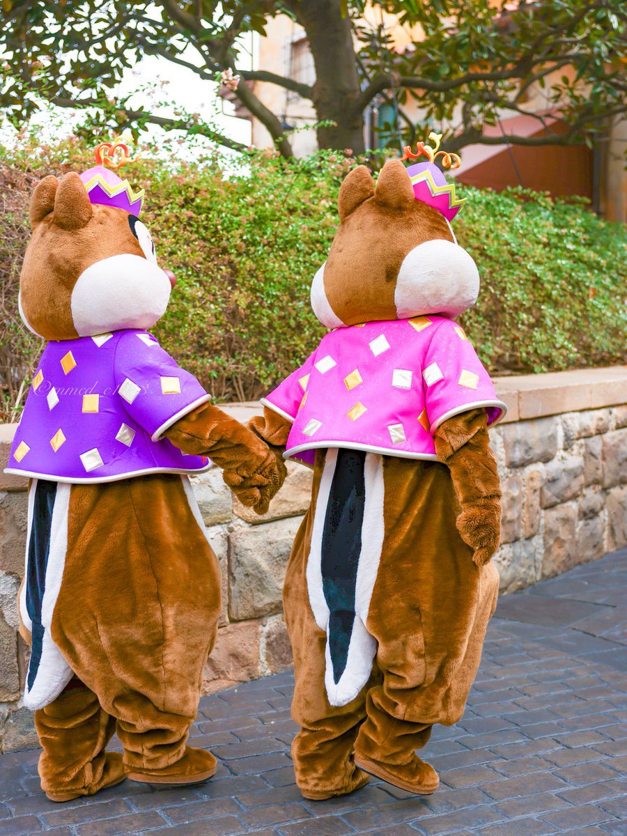 チップさん、デールさんをちゃんと待ってあげて、その後2人で手を繋いで帰っていきました。尊い😭