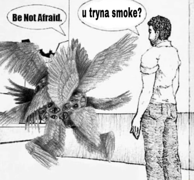 0ccultbot's tweet image. 