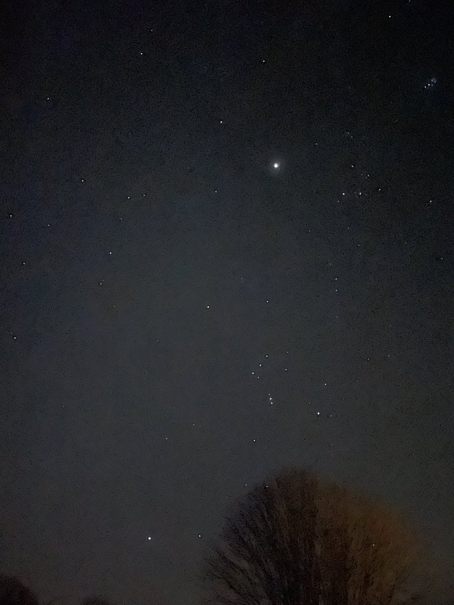 Nick Talbot tweet media