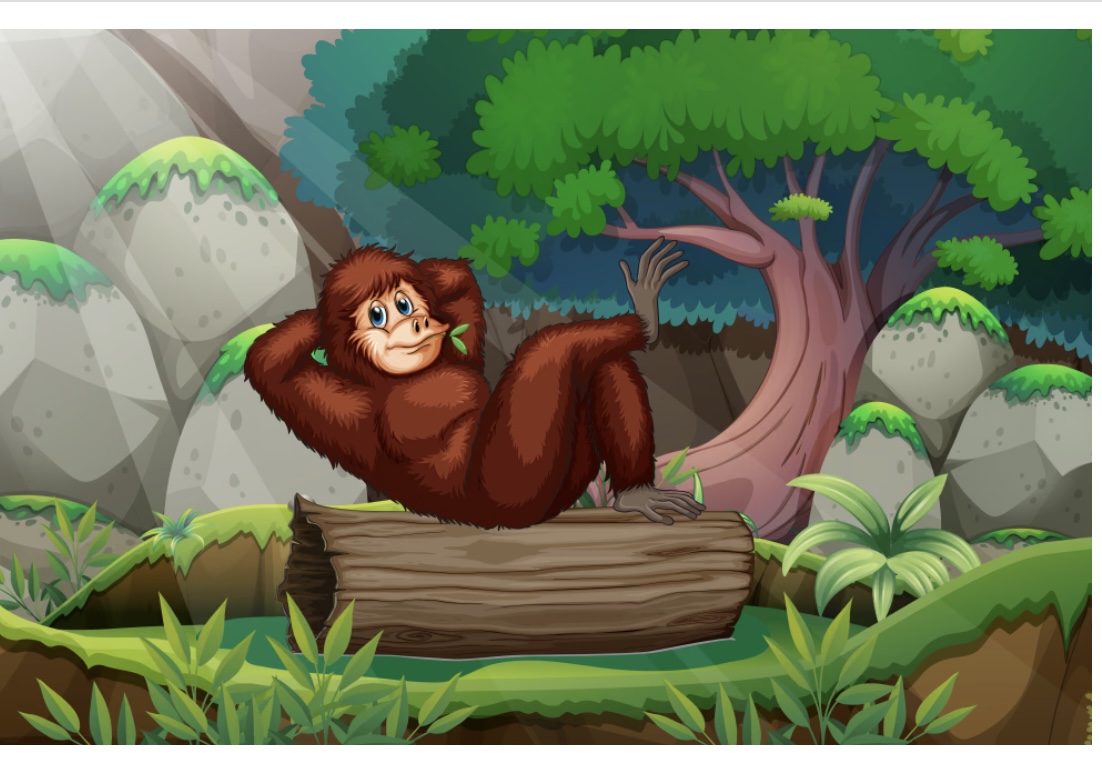 MonkeyWifHat tweet media