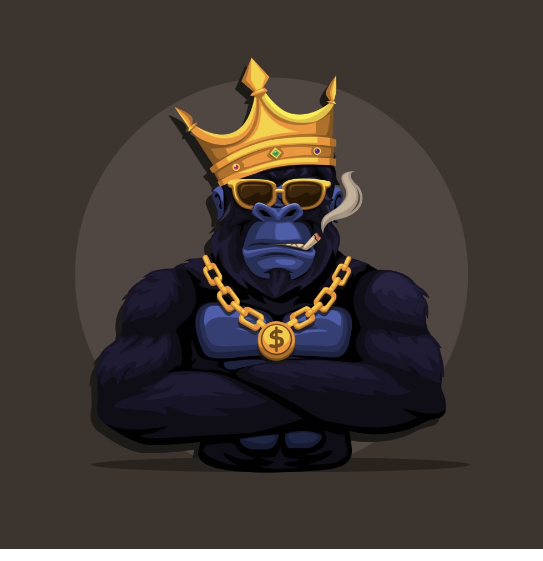 MonkeyWifHat tweet media