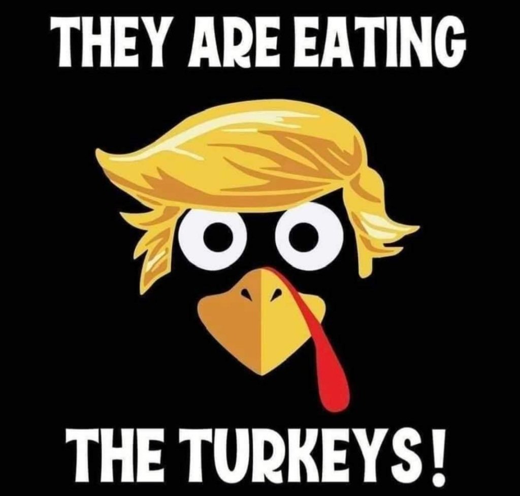 softtail65's tweet image. Oh no! 😱😂😱