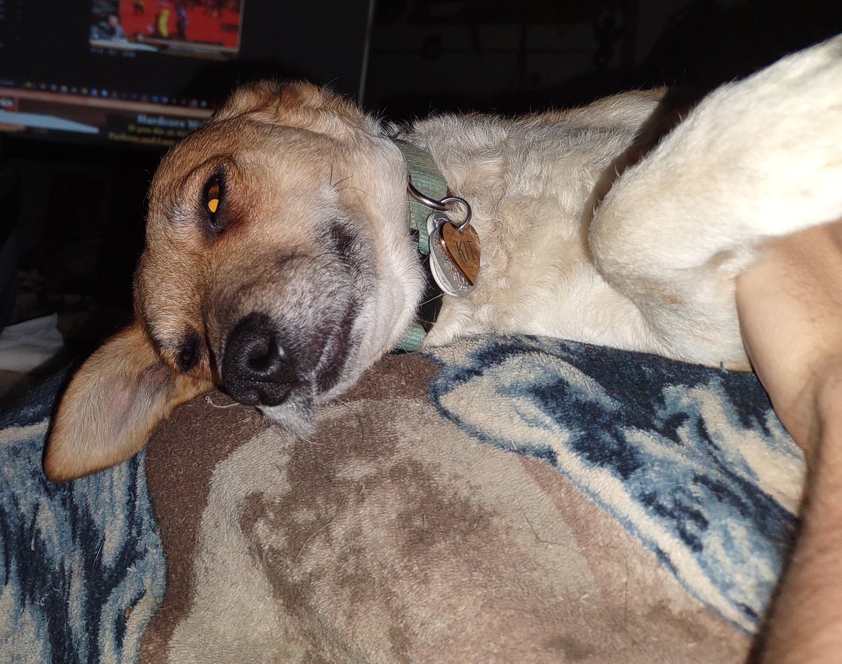 Happy Thanksgiving! 

🦃🦃🦃🦃🦃🦃🦃🦃