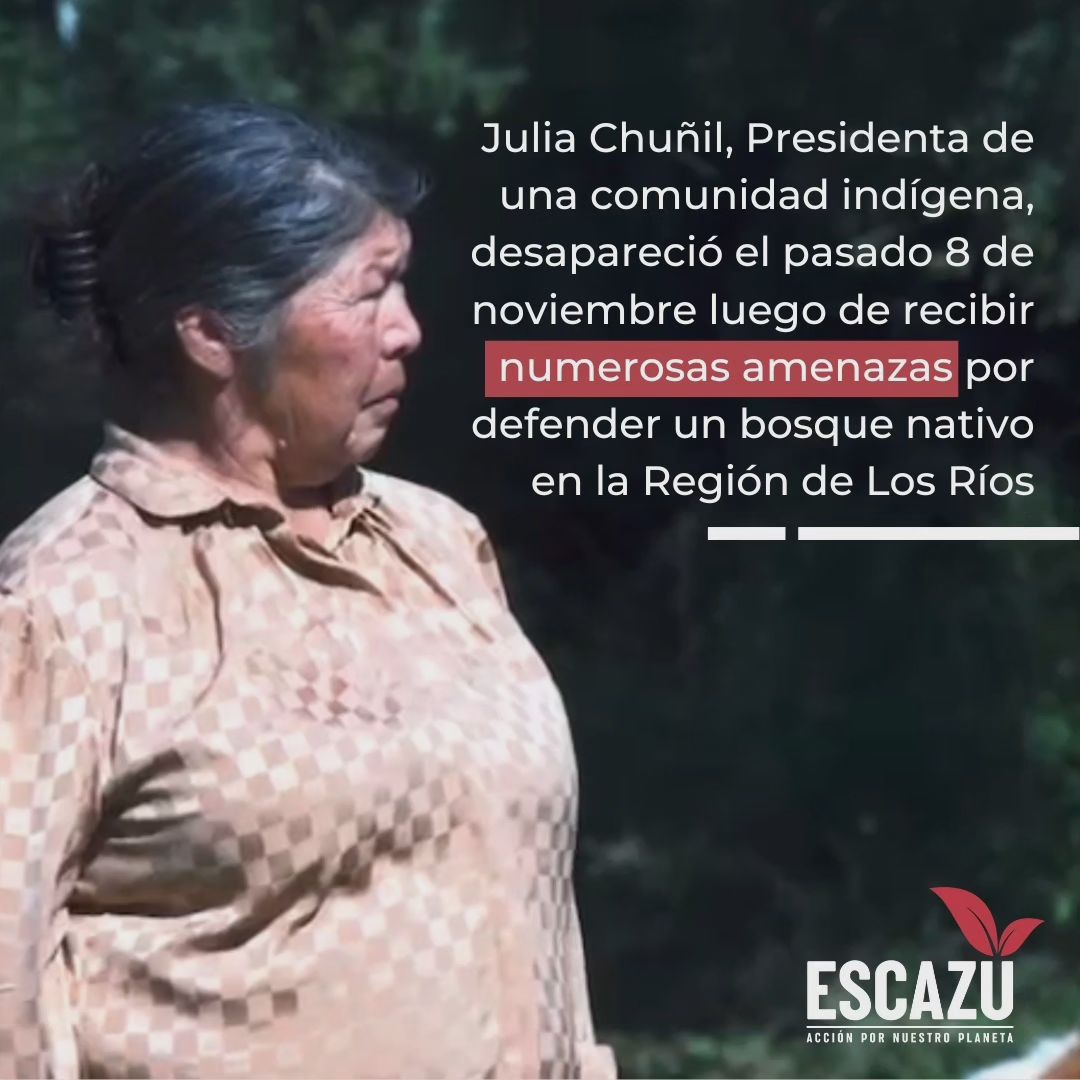 PiensaPrensa's tweet photo. JULIA CHUÑIL Presidenta de la comunidad indígena Putreguel, lleva 19 días desaparecida. Sus familiares acusan que, recibió constantes amenazas a su integridad. Julia Chuñil fue vista por última vez el pasado viernes 8 de noviembre, cuando salió de su casa para pasear a su perro, no regresando y generando mucha angustia en sus familiares y vecinos.
Tras 14 días de trabajo en la zona, se cumplieron los plazos de búsqueda efectiva con recursos desplegados tanto de la Región de Los Ríos, como del Sistema Nacional de Operaciones de Bomberos de Chile.
Aún así, Carabineros y el GOPE Los Ríos mantiene la búsqueda en el sector con distintos recursos humanos y técnicos. En tanto, la Fiscalía de Los Ríos dio la orden de investigar a la Brigada de Homicidios de la PDI.
Todos los antecedentes de la denuncia están en manos de las autoridades.