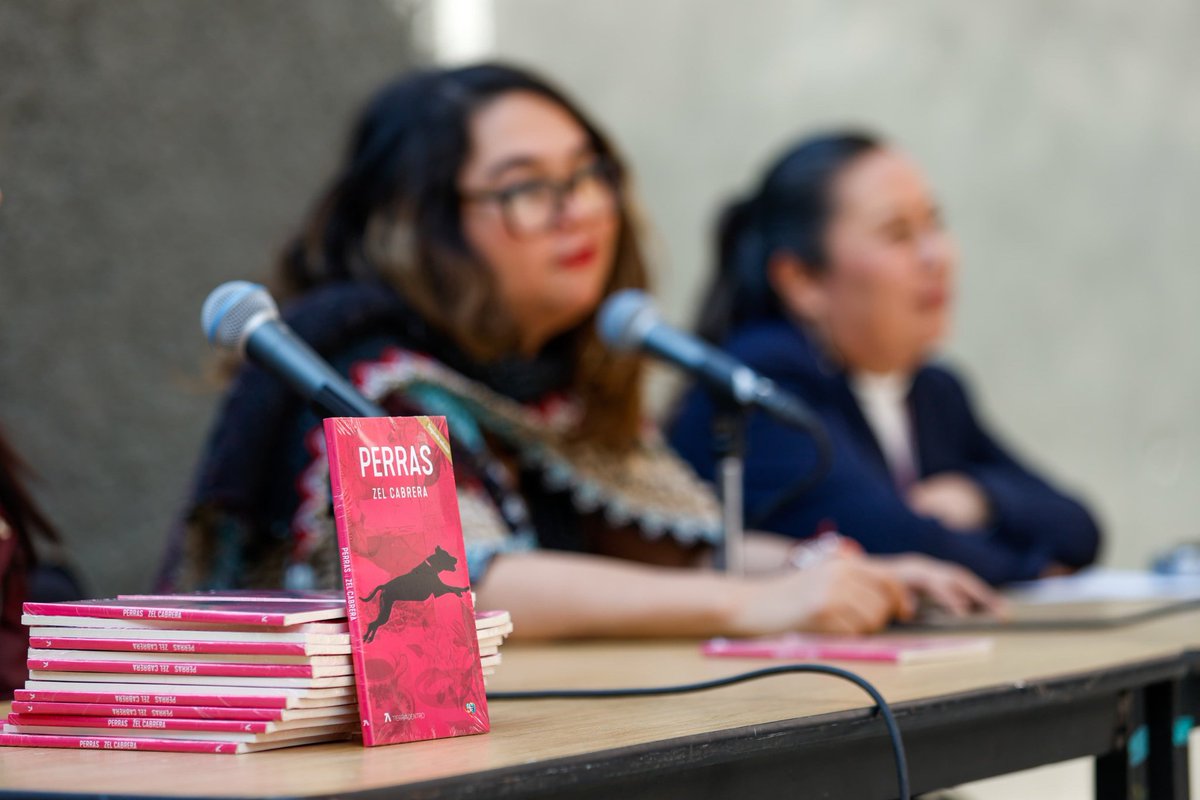 CulturaCiudadMx's tweet photo. En el marco de "Tiempo de Escritoras", la autora @zel_cabrera visitó la Escuela Rafael Ramírez, donde compartió reflexiones sobre su obra y proceso creativo. Durante este encuentro, abordó temas relacionados con su visión literaria, las experiencias que inspiran sus textos y la importancia de fomentar la lectura y la escritura en las nuevas generaciones.

Esta actividad promovió un diálogo enriquecedor entre la escritora y los estudiantes, resaltando el poder de la literatura para reflexionar sobre la vida y las emociones humanas.

@FCEMexico 
@GFestivalesCDMX