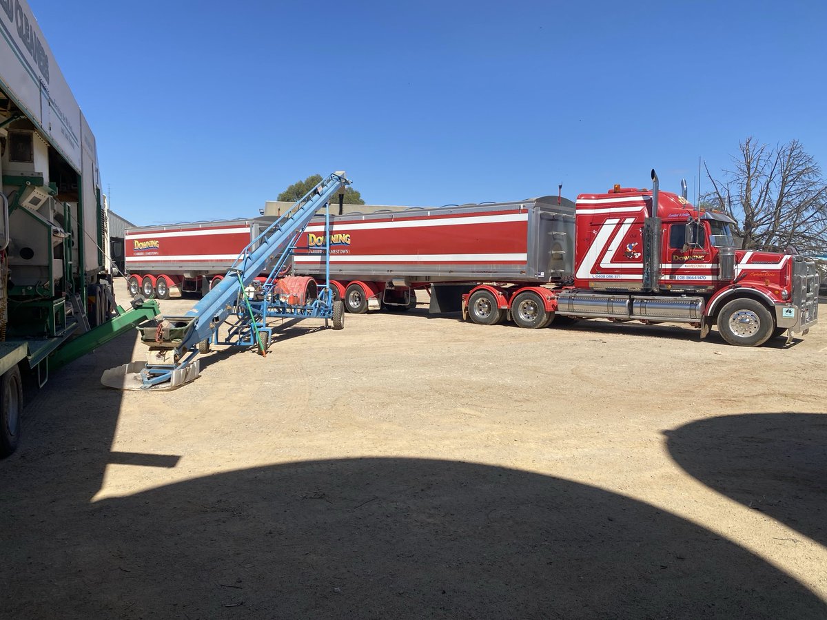 Cleaning Morava vetch. Anyone have any idea what it’s worth should we have any extra for sale?